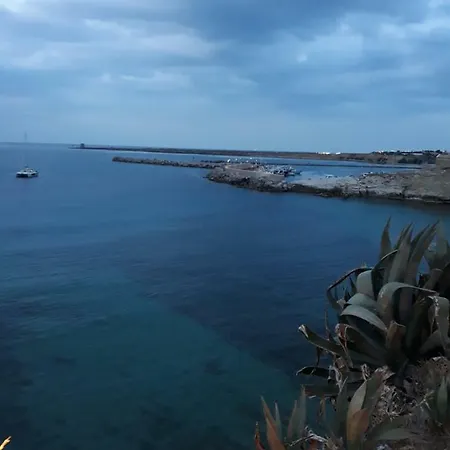Enza 3*