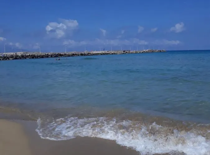 Enza 3*